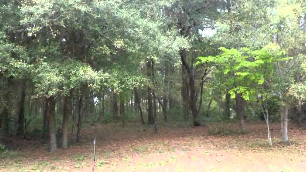 Lots And Land for sale 0 NE 13 ST, OCALA, FL 34470 YouTube