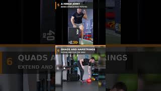 Most knee rehab stops too early — 8 drills that don't 🦵