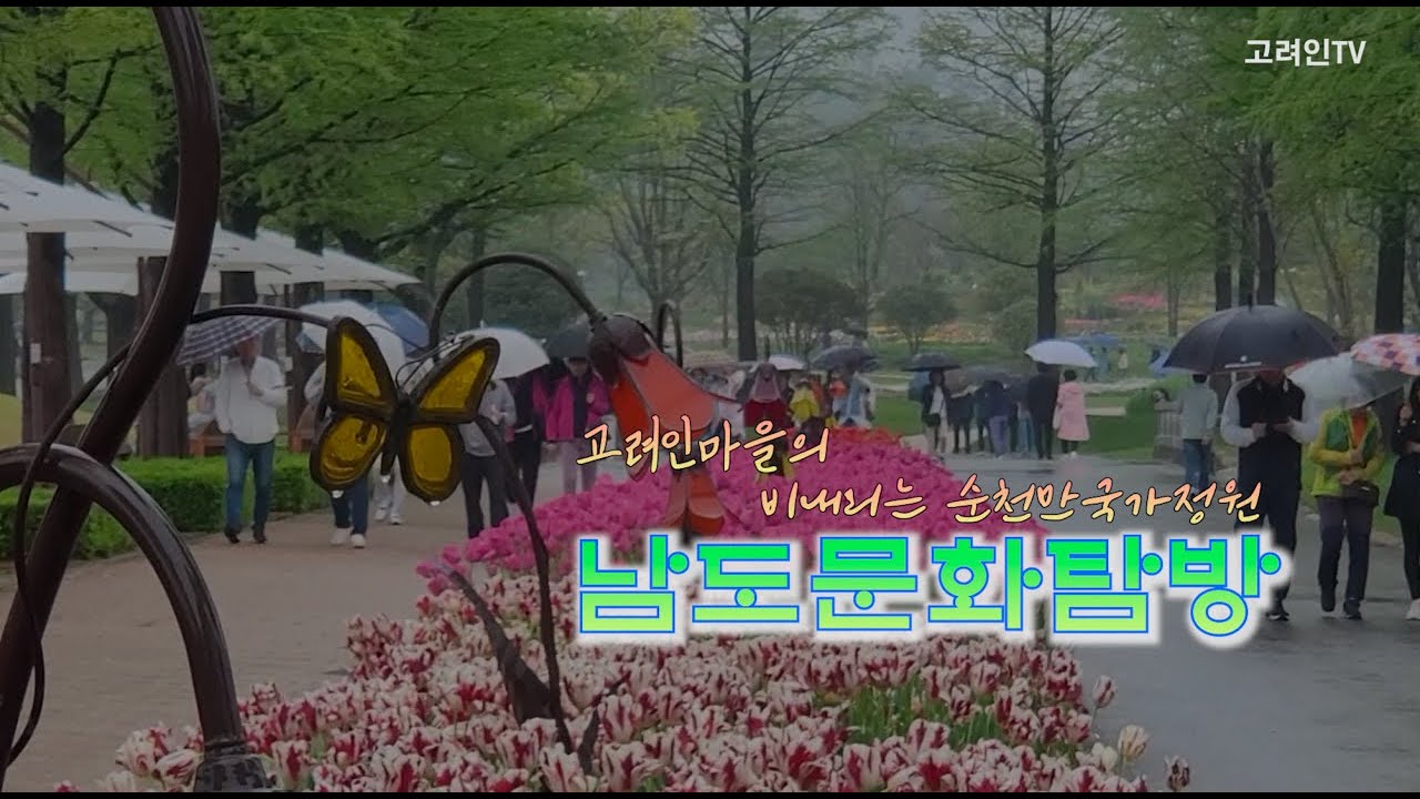 고려인마을의 남도문화탐방 비내리는 순천만국가정원_24년 4월 20일