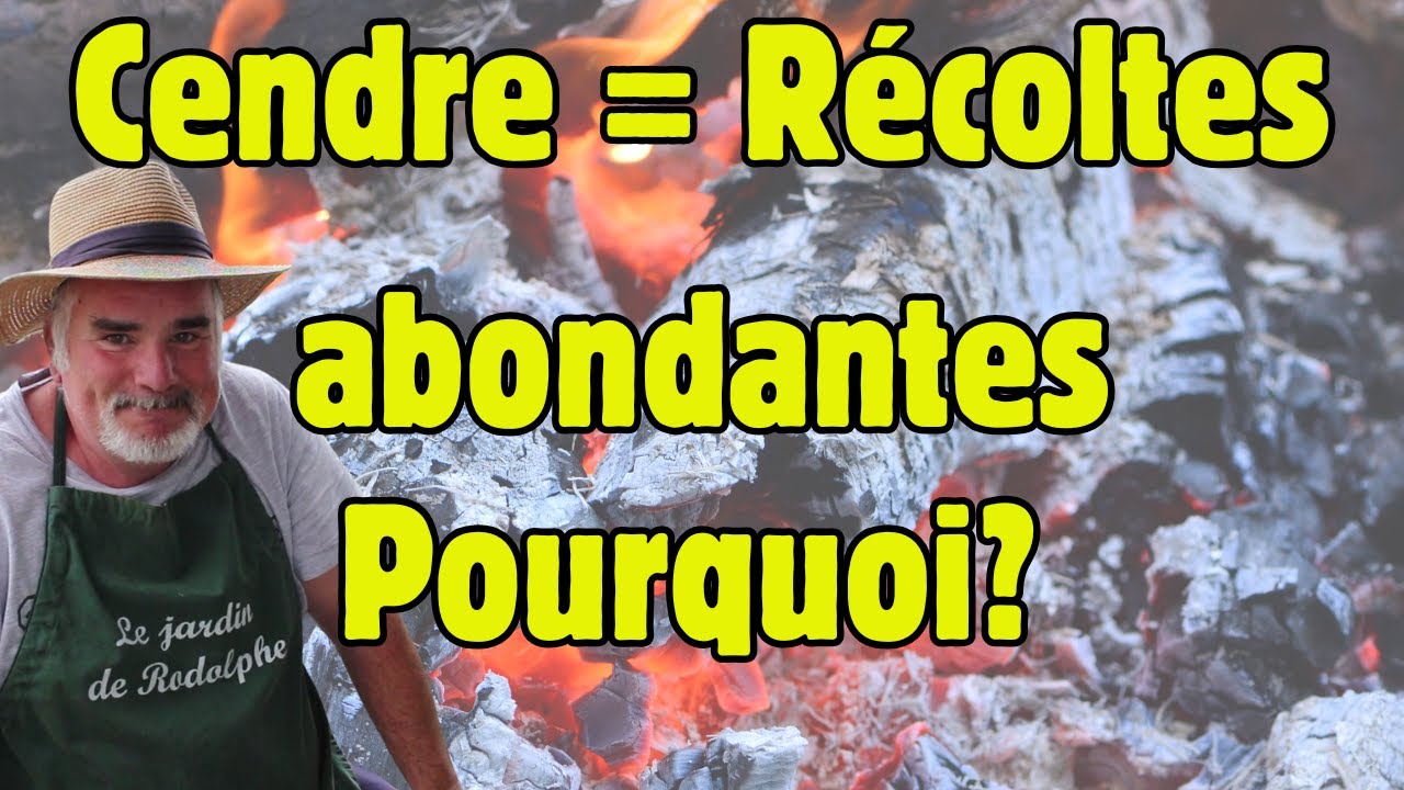 Des légumes plus beaux et plus savoureux grâce à la cendre?