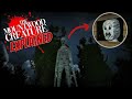 The Surprising TRUTH About the Mountwood Story