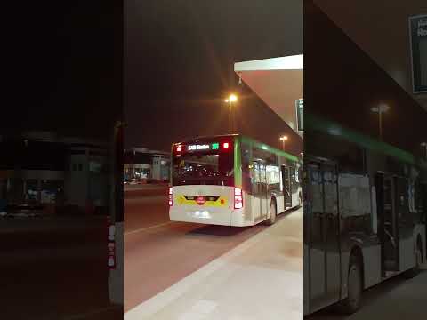 الباص هو حكاية كل يوم  الرياض 