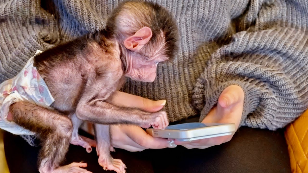 Николь ПОМОГАЕТ МНЕ РАБОТАТЬ, а мы показываем СВОИ СОЦИАЛЬНЫЕ СЕТИ!