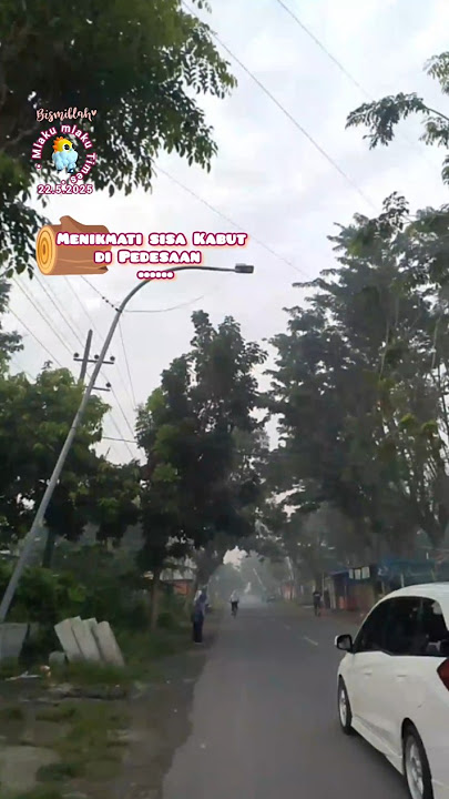 Menikmati Kabut pagi #mlakumlaku #kabutpagi #walkaround #alampedesaan #shorts