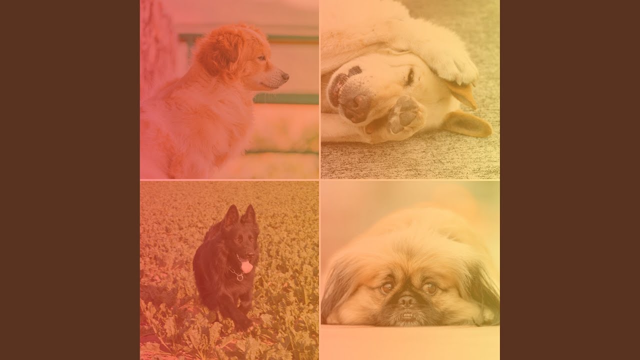 Smart Music for Dream