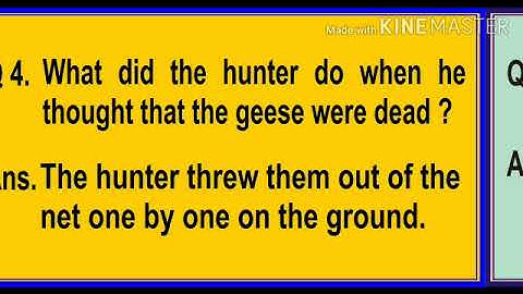 MLZS JHANSI CLASS 5 English Literature Flying Together Lecture 2