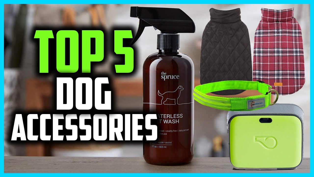 Top 5 Best Dog Accessories of 2023 YouTube