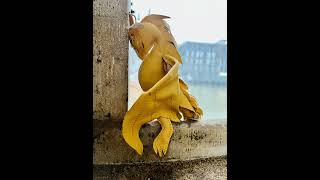 Leather dragon - 100% Handcraft