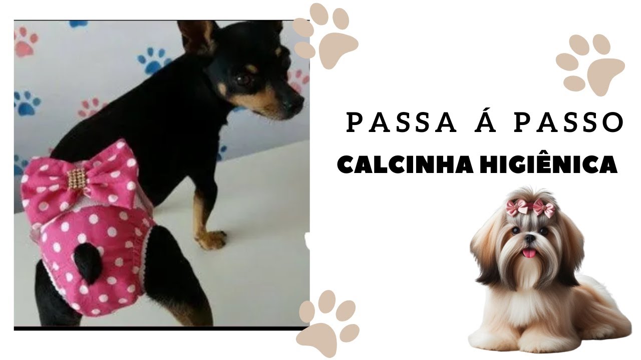 Calcinha higiênica pet  PASSO Á PASSO