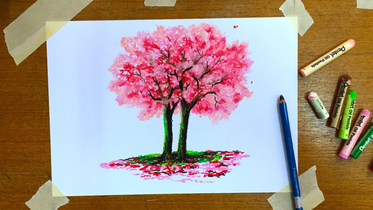 Oil pastel drawing by kru-sorn. สีชอร์ค  ต้นไม้สีชมพู