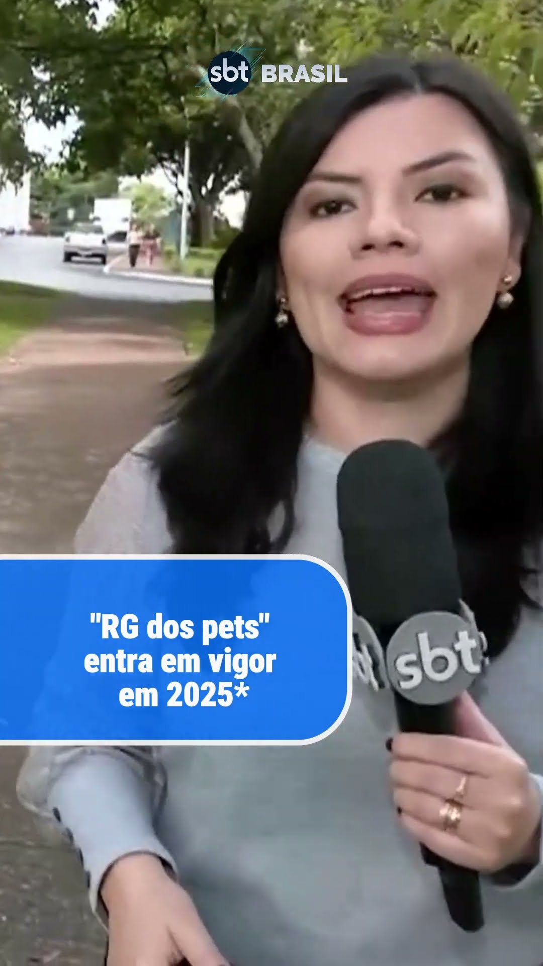 Pets terão carteira de identidade nacional em 2025; saiba como fazer | SBT Brasil (03/01/25)