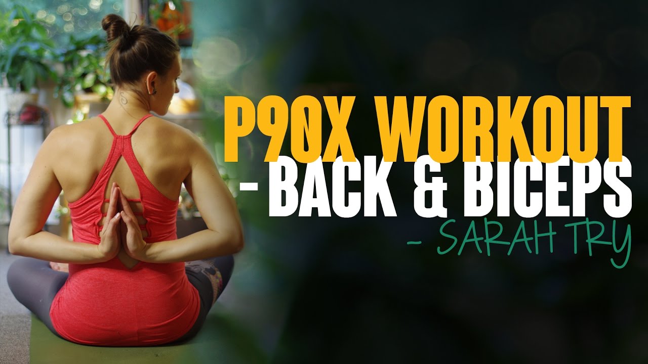 P90x Workout Schedule Back And Biceps EOUA Blog