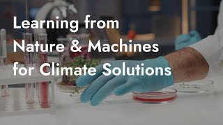 How Can Deep Learning From Nature and Machines Lead to New Solutions for the Climate Crisis?