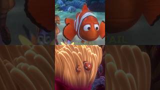 Did You Notice This Detail In Finding Nemo Movie? #findingnemo #pixar #facts #cpexplained