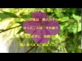 花かげろう(永井みゆき)coverなつみ