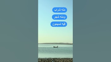 هو الذي أنـزل من السماء ماء لكم منه شراب ومنه شجر فيه | الآية 10 من سورة النحل