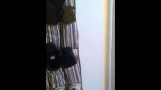 IMG 14561