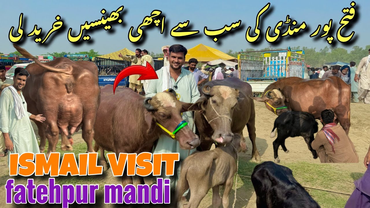 Today Ismail Jutt Visit fatehpur mandi