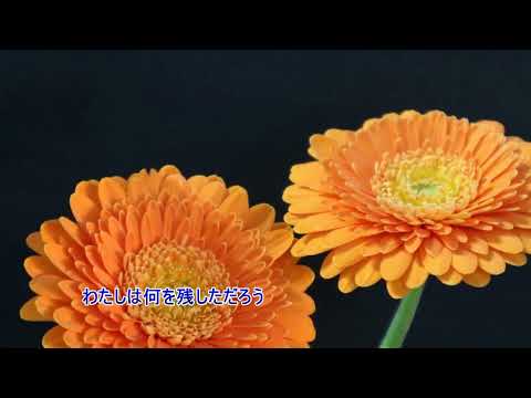 花は咲く（伴奏打ちこみと尺八です）