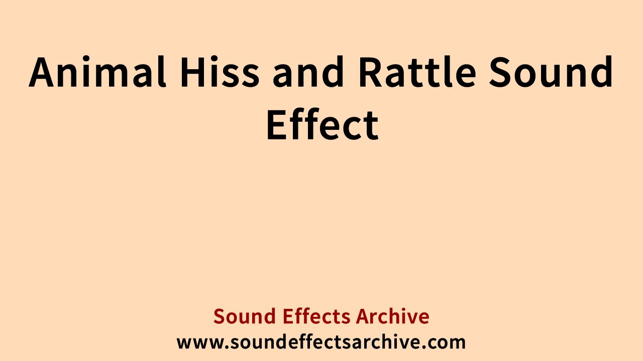 Animal Hiss and Rattle Sound Effect Royalty Free YouTube