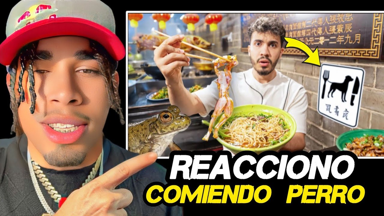 RDjavi: Reaccionando A Probando COMIDA CALLEJERA en CHINA 🇨🇳/¿Comen PERRO?🐕