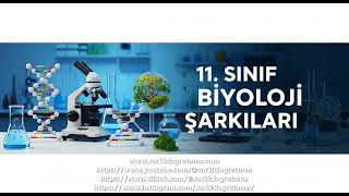 11. Sınıf Biyoloji Beynimizin Sırları Nöronlar, Sinapslar ve Sinirsel İletim şarkısı v 2 kapak görseli