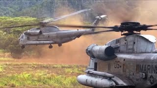 Red Lions Grow Wings for First Flight