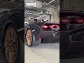 シアンロードスター エンジン始動音 ランボルギーニ sian lamborghini engine start sound