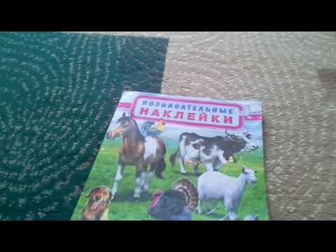 Детская книга про животных с наклейками