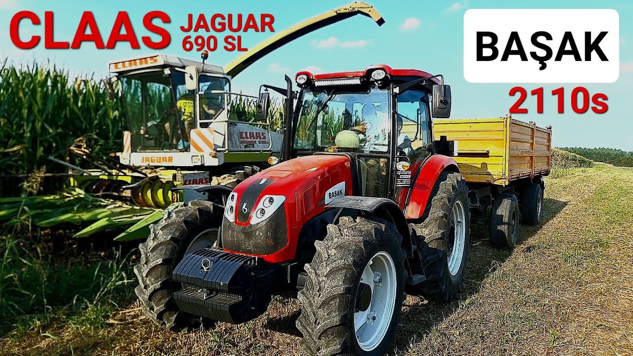 CLAAS JAGUAR 690 SL & BASAK 2110S Corn Silage 2023 | Siliranje Kukuruza 2023