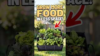Grow more in less space #gardendelight #gardening #garden #music #farming #gardenanswer #gardtips