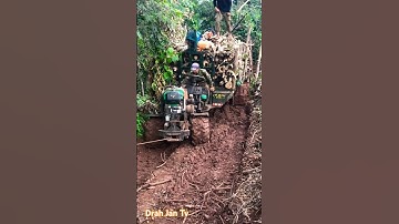 #shorts Xe công nông bánh đôi chở gỗ rất khỏe