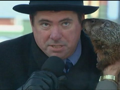 Video: PETA Försöker Ersätta Den Berömda Groundhog Prognosticator