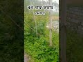 #bayan #new #islamicknowledg #youtube #nature #waj #shortvideo #mijanur_rahman_ajhari #dua #দোয়া