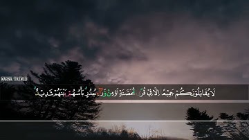 Surah Al Hasyr Hamza Muhayadin II سورة الحشر حمزة محي الدين