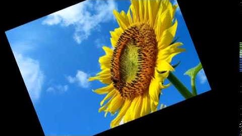 New toeic practice test 3