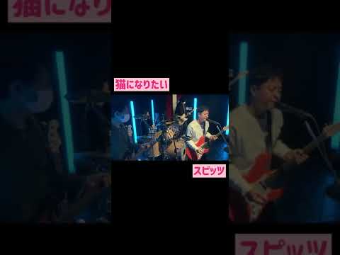 2021/02/28　猫になりたい / スピッツ　byサモエド旅に出る