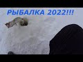 Рыбалка 2022. Наловил щук и на фарш, и на жарёху.