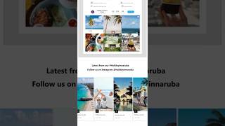 How to embed social media feeds to your website!