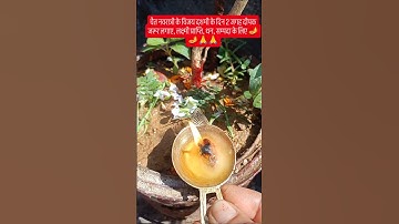 विजय दशमी के दिन जो ये 2 जगह दीपक लगा देता है उसके उहा 🪔🪔#pradeepmishrajikeupay #shivpuran #mahadev