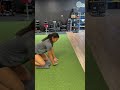 Wrist Stretch Series | Mobility for Athletes