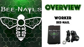 Worker Bee-Nail | Bee-Nails Product Overview
