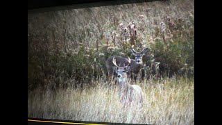 Awesome First Youth Hunt Wisconsin Youth Hunt 2023