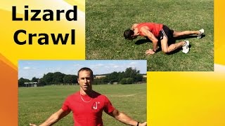 The Lizard Crawl