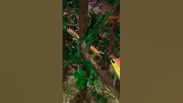 Doing transitions until 100 subs - day 2