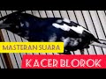 Kacer Gacor Ngotot Kacer Diam Males Bunyi Bakalan Nyaut Ngeplong Dengan Masteran Ini Mp3 - Mp4 Download