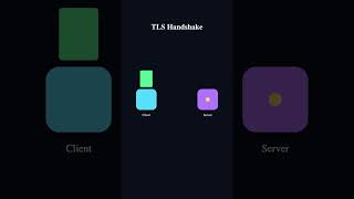 TLS Handshake — Networking in 60 Seconds #Shorts