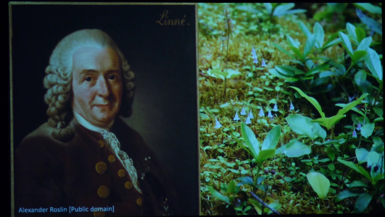 Ross Bayton: The Gardener’s Botanical | Town Hall Seattle