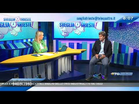 FLEX E PRINCIPE: I SINDACATI ALL'ANALISI DELLE CRISI INDUSTRIALI | 11/06/2022