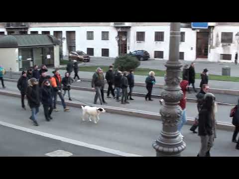 Corteo No Green pass a Trieste 12/2/22